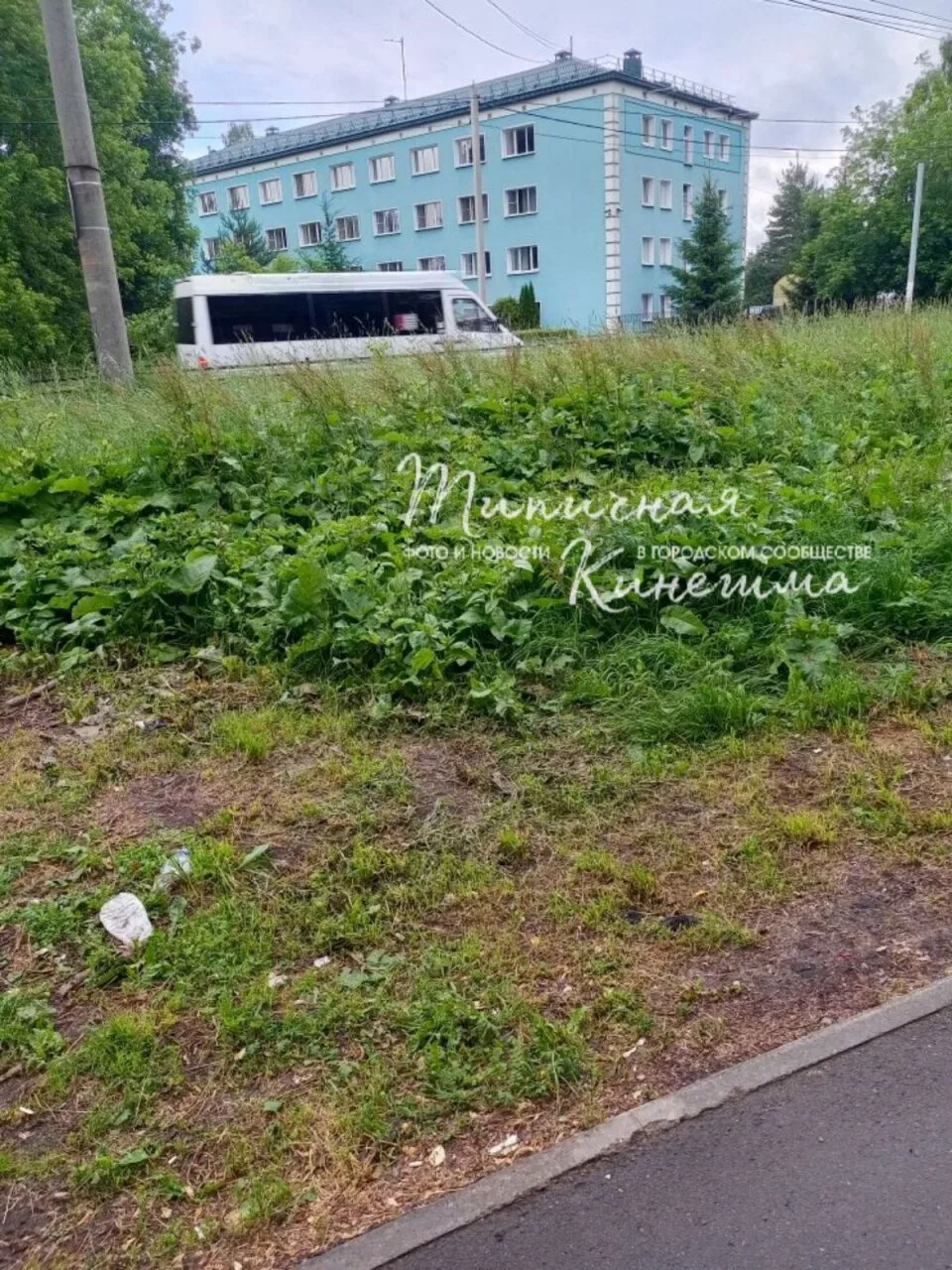 Интересно узнать, почему не окашивают придорожную траву на улице Юрьевецкой, дом 48 в Кинешме. Вроде