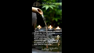 Видео: https://vk.ru/clip-58374313_456243948