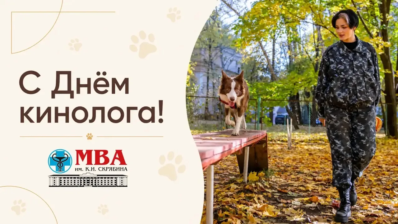 🐕 С Днём кинолога!

Когда собака точно выполняет команду, со стороны кажется, что всё получилось ле