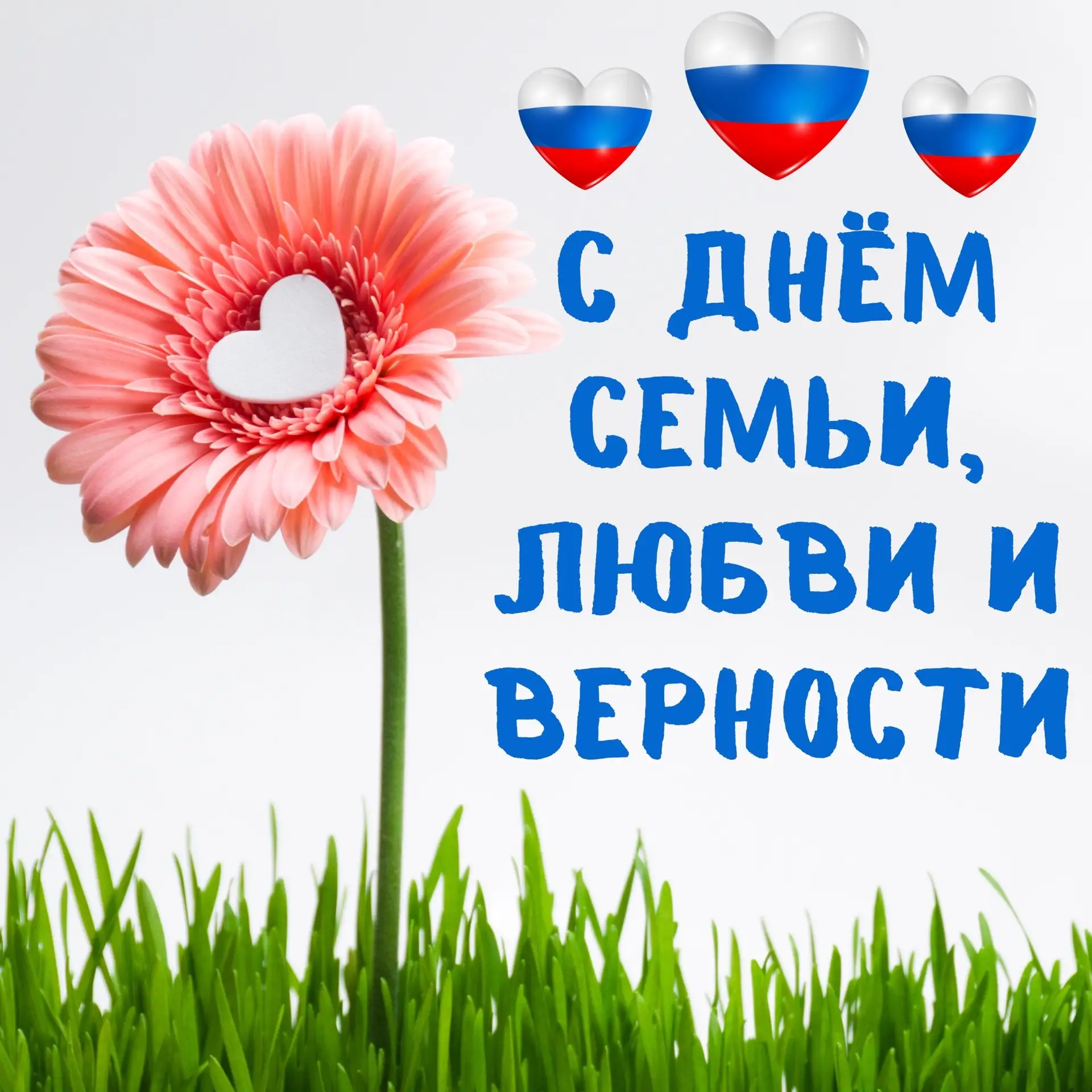 Дорогие друзья, поздравляю с Днём семьи, любви и верности! 

Семья – это основа общества, источник с