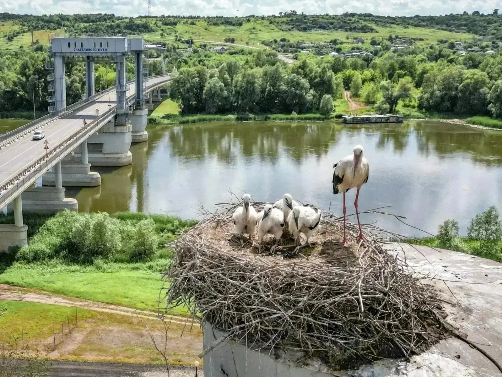 Доброе утро жители и гости Верхнедонского района.

Желаем чудесного, доброго и солнечного дня, сил, 