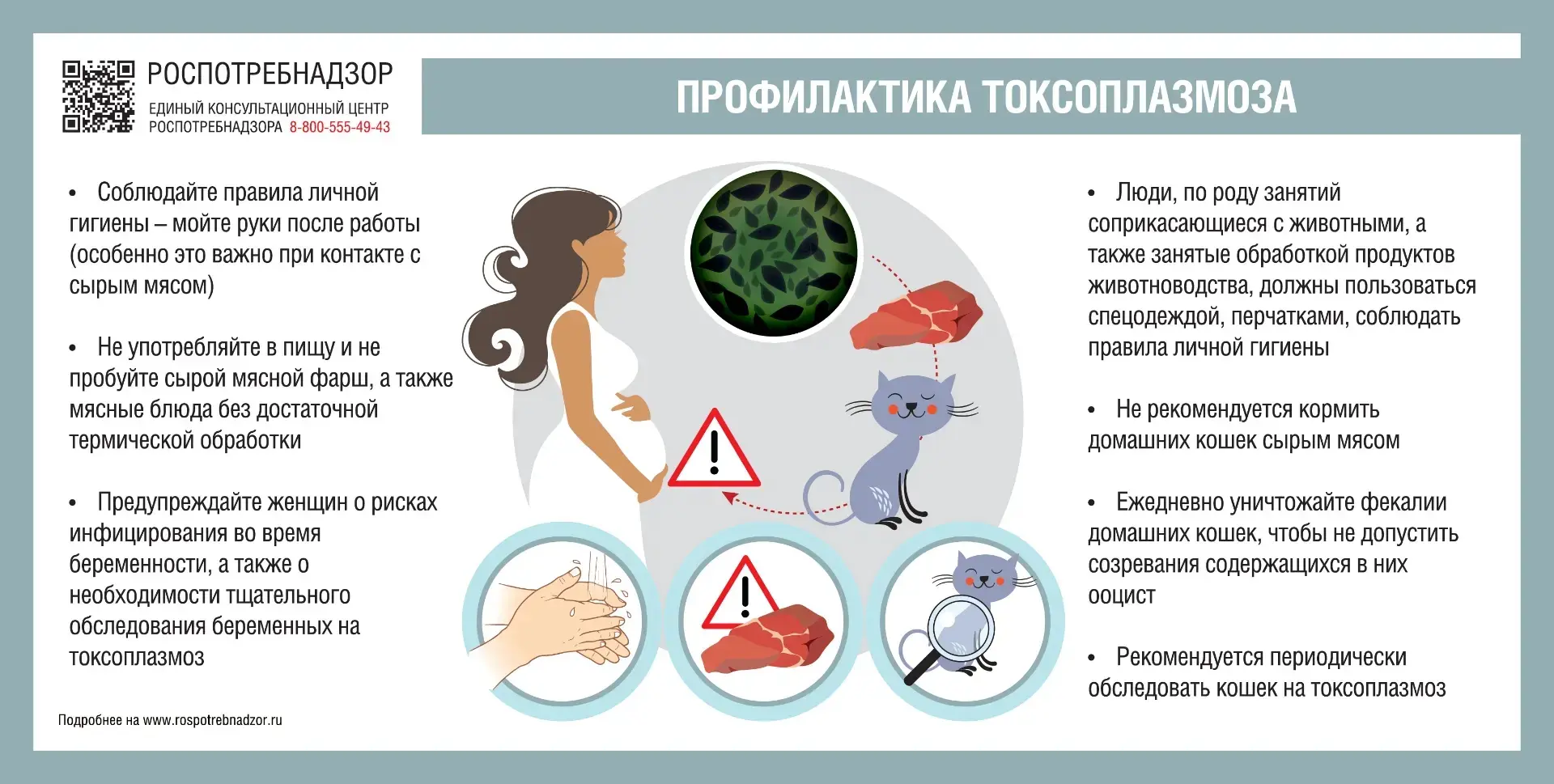 📍Токсоплазмоз: что нужно знать о «кошачьей» инфекции?

🐈 Токсоплазмоз — это паразитарное заболеван