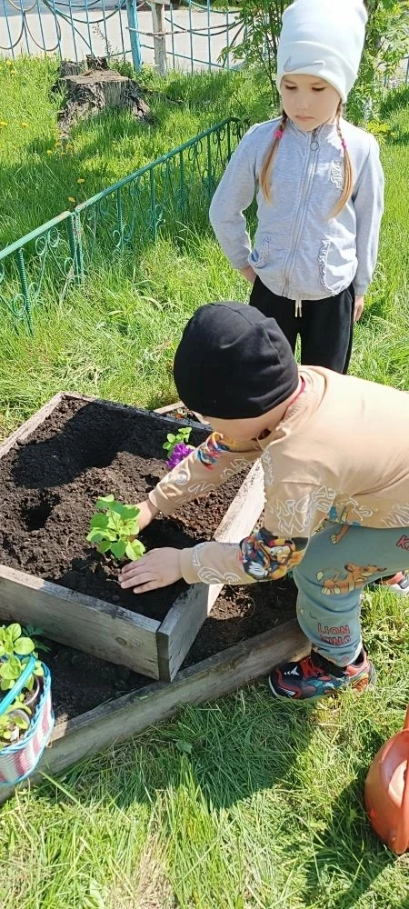 🌺🌸🌼Посадили мы цветы небывалой красоты! 

Труд - важнейшее средство воспитания, начиная с дошколь
