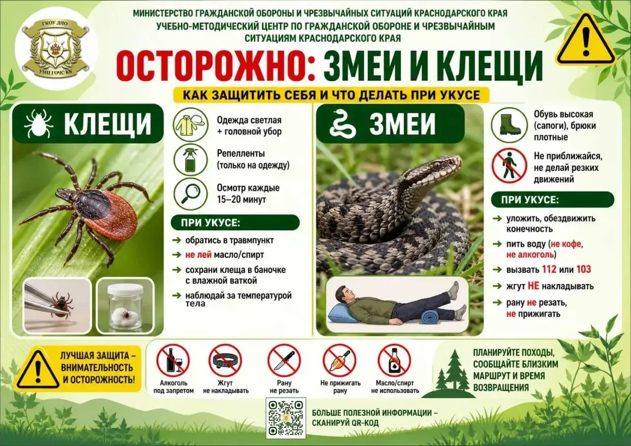 🛑 Осторожно: клещи и змеи

Лето — время прогулок по лесам, водопадам и горным тропам. Но именно сей