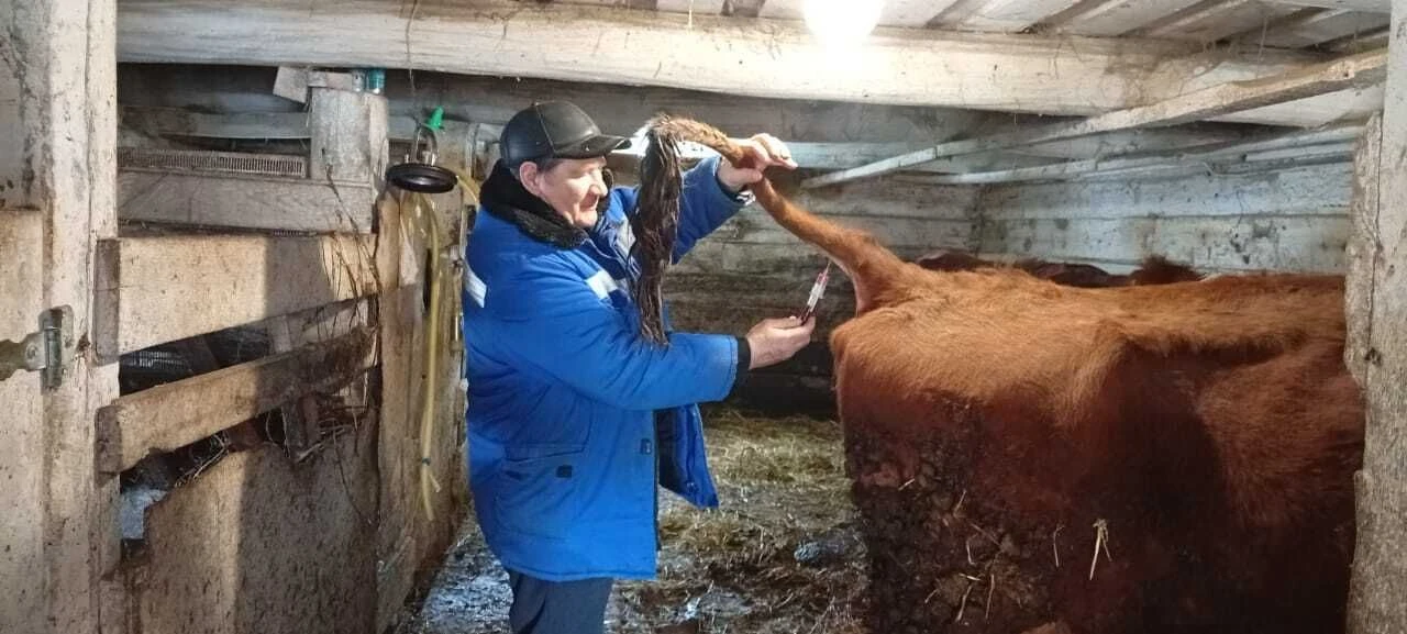 🐄🐎 Продолжаются весенние ветеринарные обработки! На фото специалисты Игнатовского и Аровского учас