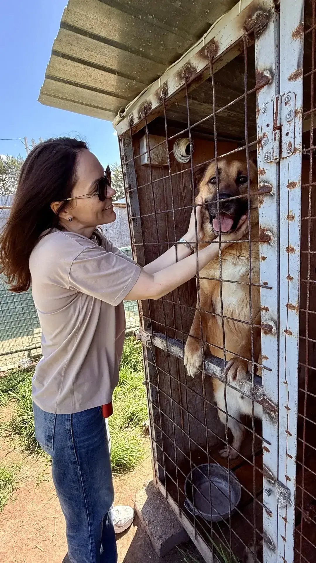🐾 Добро начинается с маленьких шагов и больших сердец ❤️

Сегодня коллектив Стоматологической полик