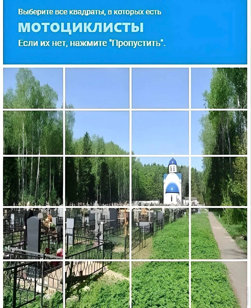 🐈‍⬛ Белее Белого