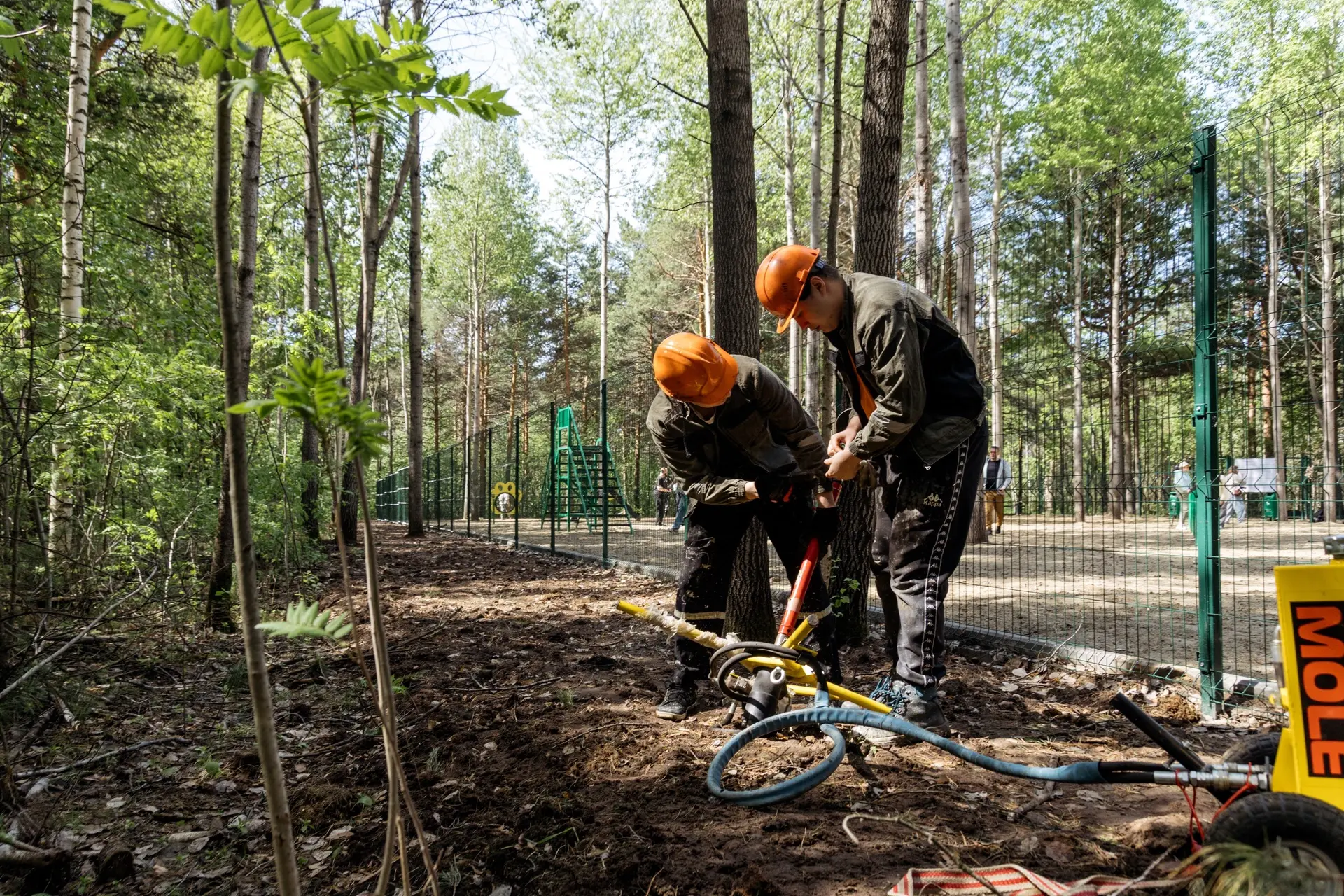 Парк «За Саймой» преображается с каждым годом 👍

Стартовали работы по благоустройству дорожно-тропи