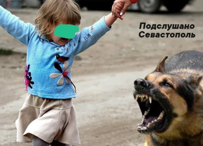 🐕‍🦺Суд взыскал компенсацию с женщины, чья собака укусила 9-летнего мальчика

В декабре 2025 года в