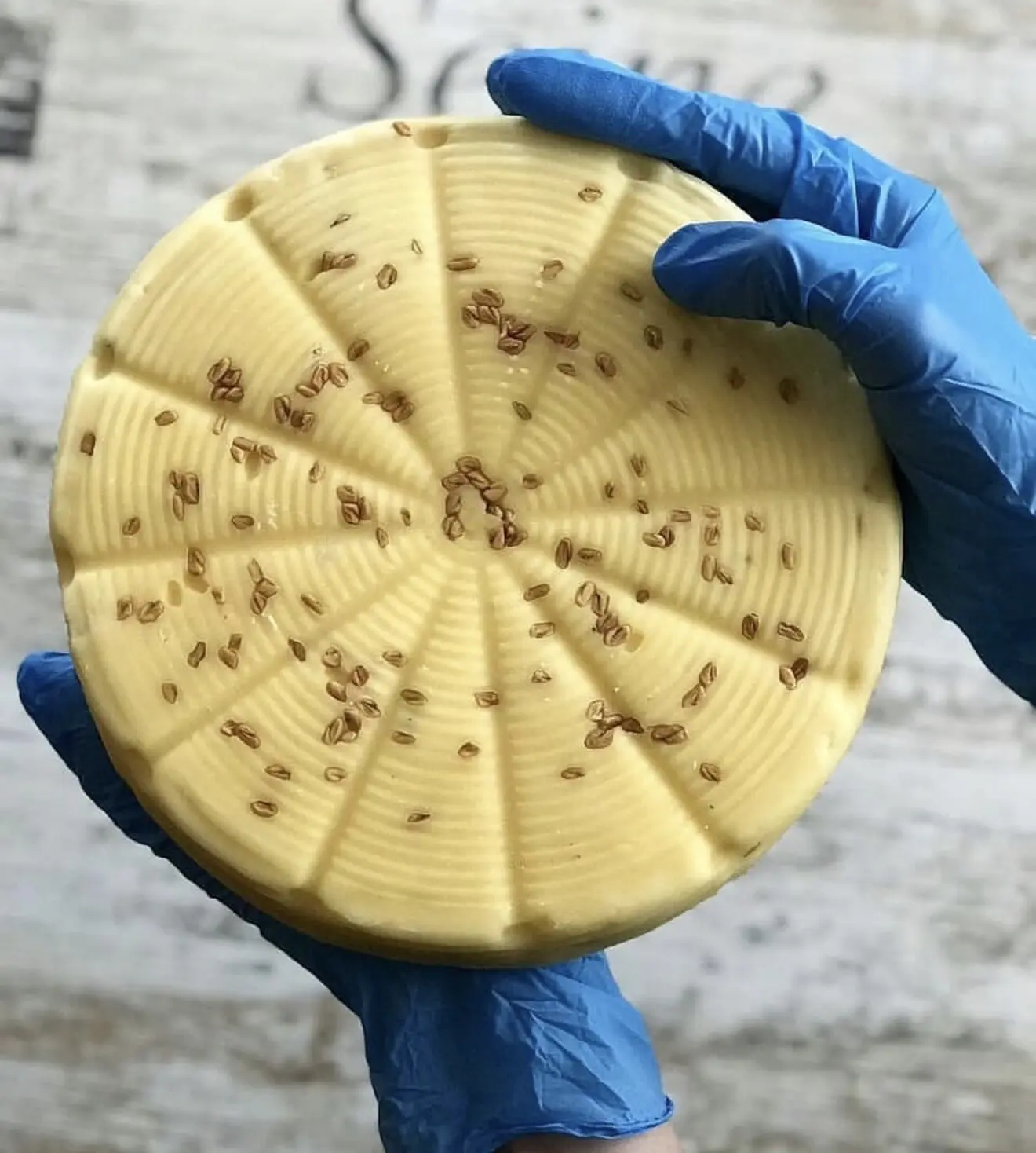 Сыр «Шамбала»🧀
Сыр с пажитником отличается интересным сливочно-ореховым вкусом. Семена пажитника им