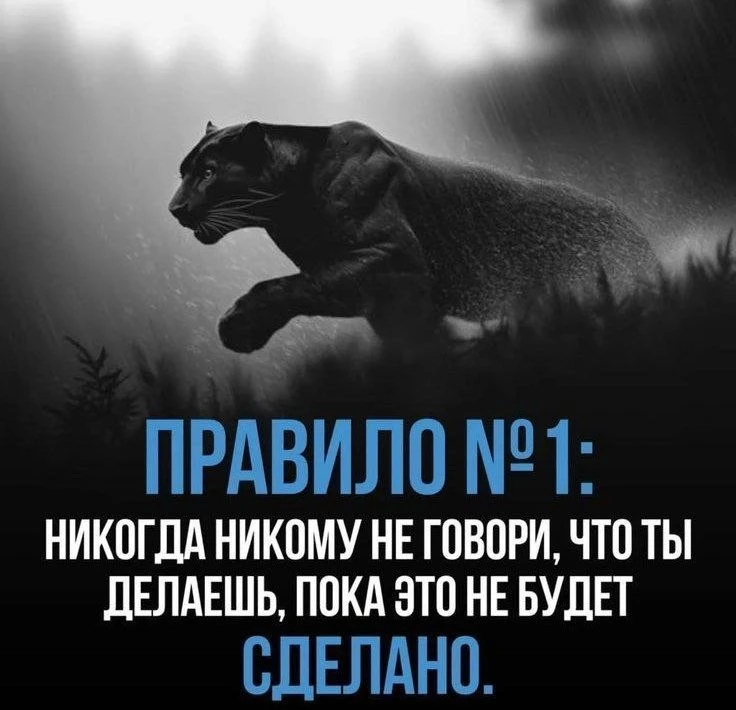 Действуй тихо, пусть результат будет громким!