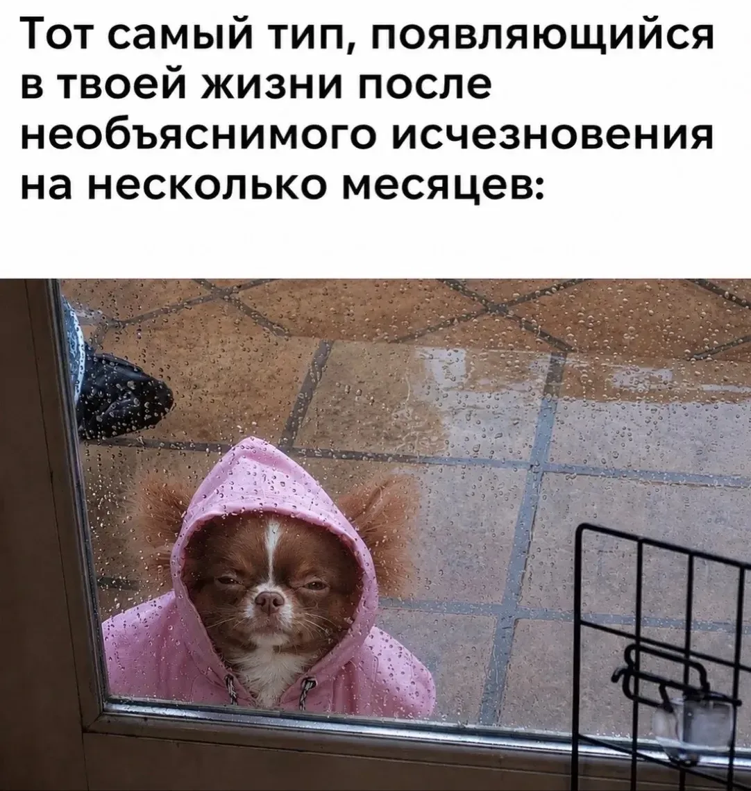 Привет, спишь?

🍷 Наш бот знакомств  - max/ЗНАКОМСТВА
🍑Анонимный чат - max/АНОНЧАТ