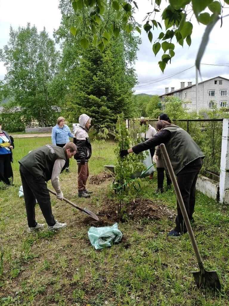 Всероссийская  акция «Сад Памяти».
Мы помним подвиг нашего народа,
Солдат, погибших в огненном бою.
