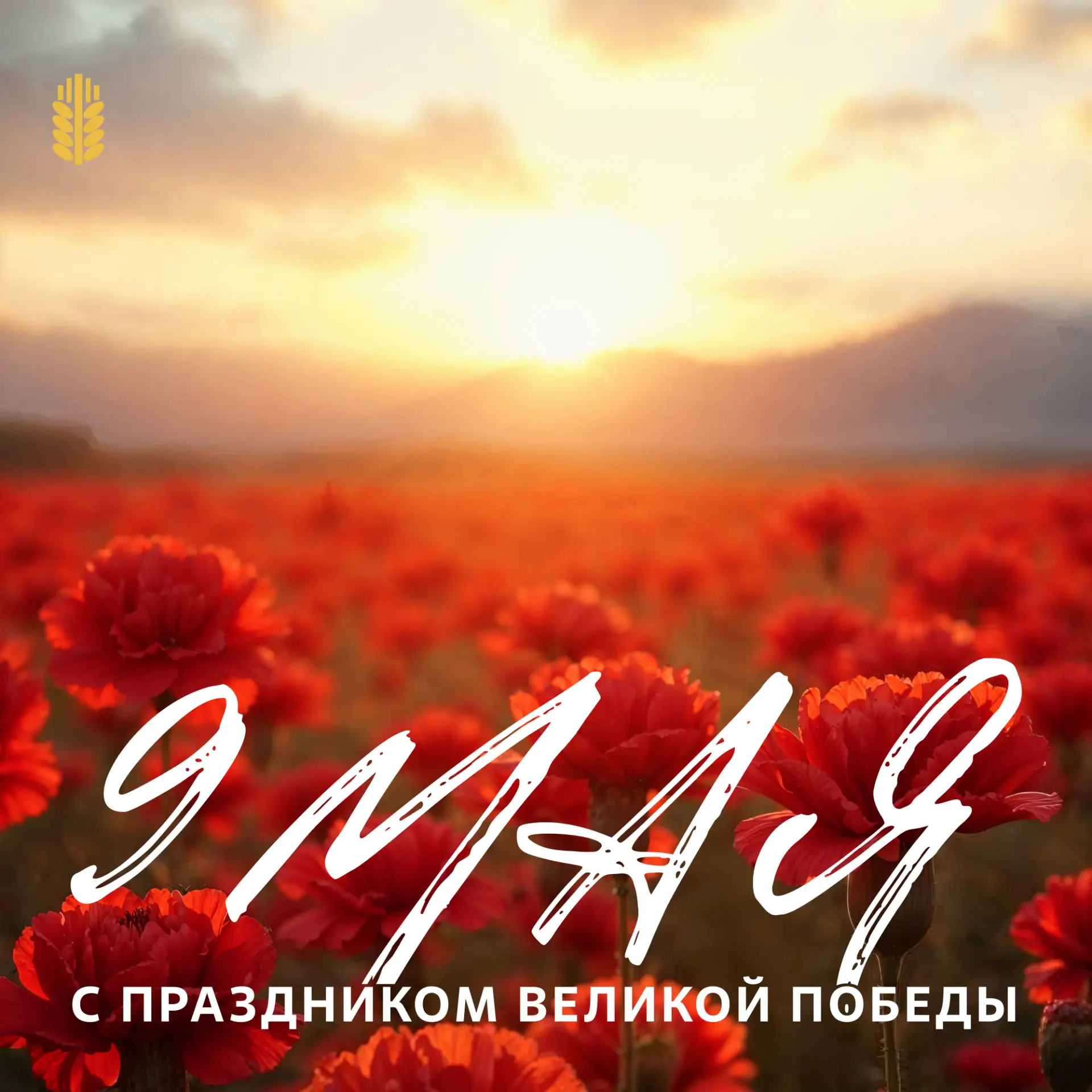 С Днем Великой Победы!

81 год назад наш народ доказал: единство и вера в правду сильнее любого враг
