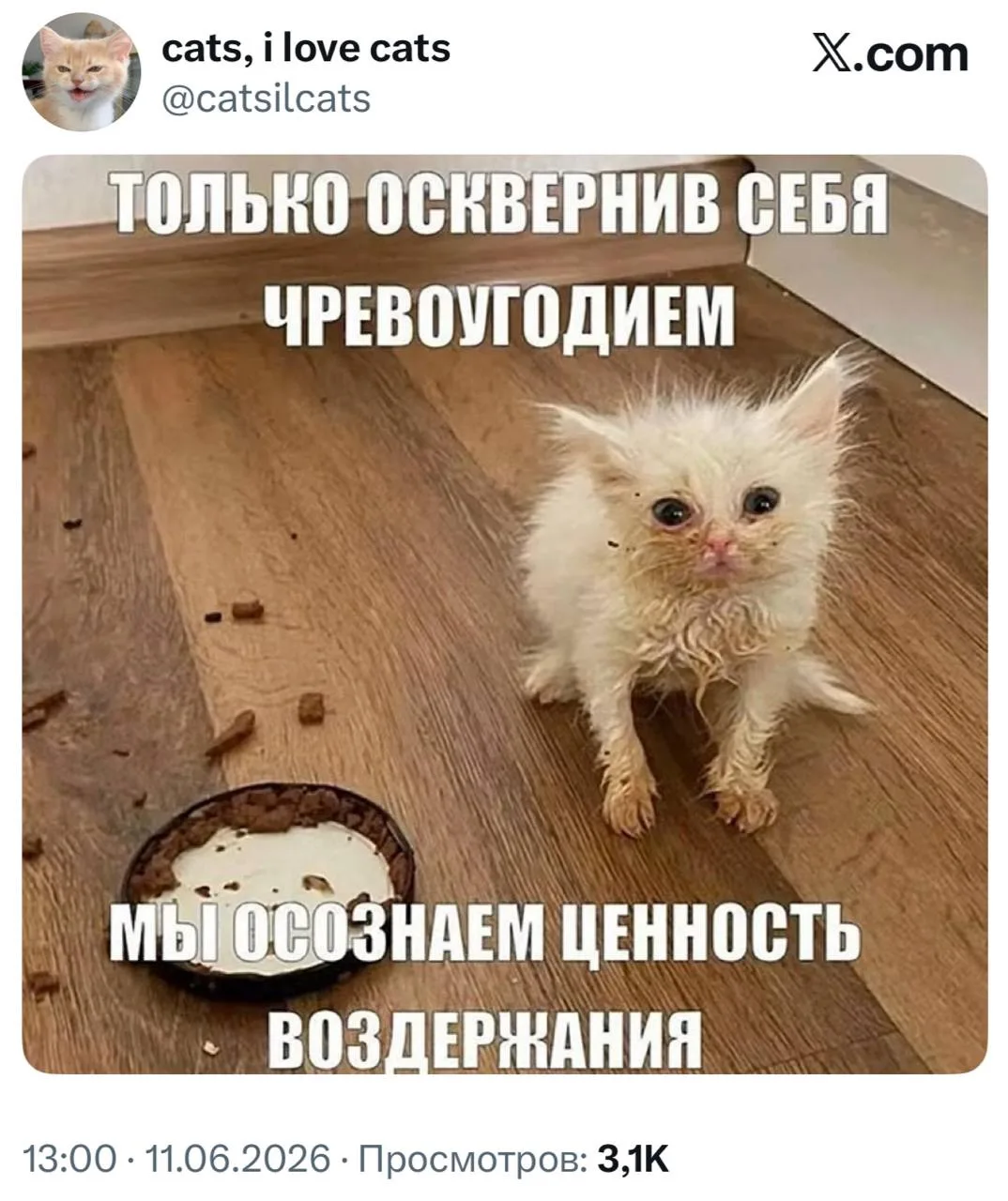 Придерживаемся только такого принципа 😋