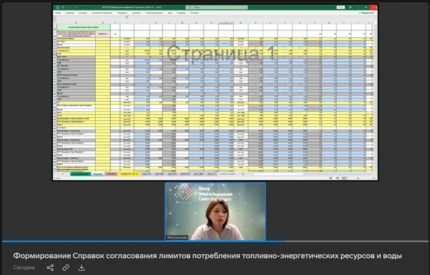 Центр энергосбережения провел вебинар для представителей исполнительных органов государственной влас