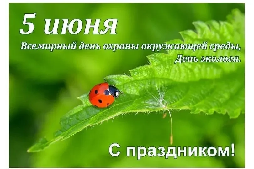 С Днем эколога!
Природа одарила нас бесценными сокровищами, которые требуют бережного отношения и за