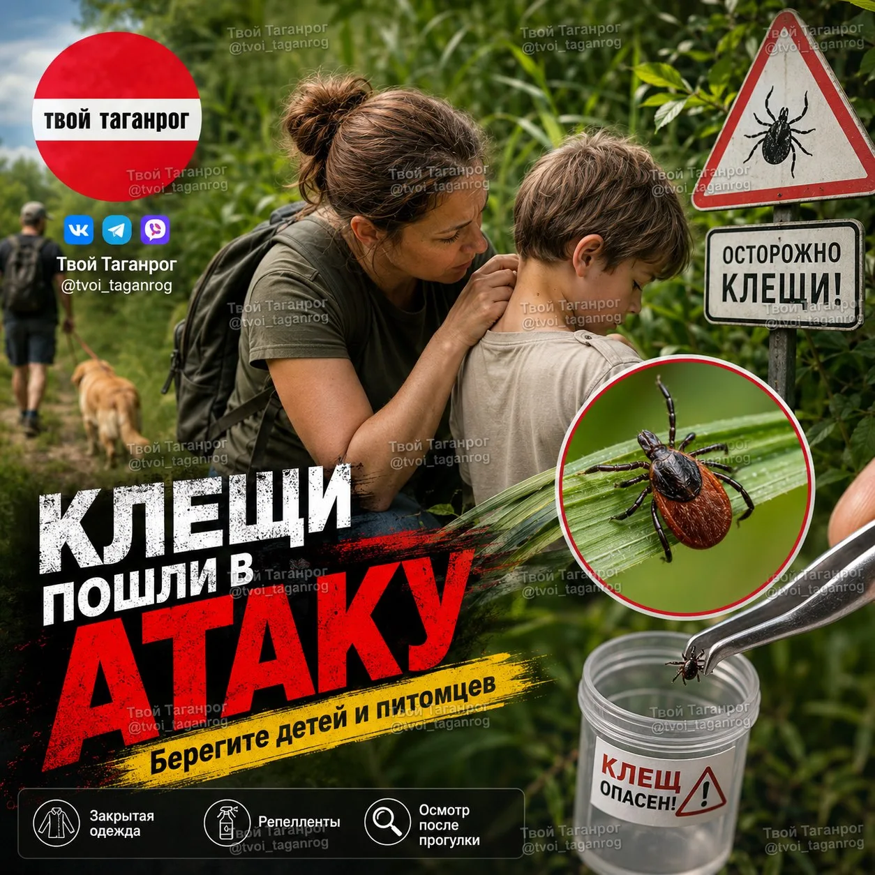 🕷 Клещи атакуют: в Ростовской области уже больше 2,5 тысячи пострадавших

С начала сезона за медици