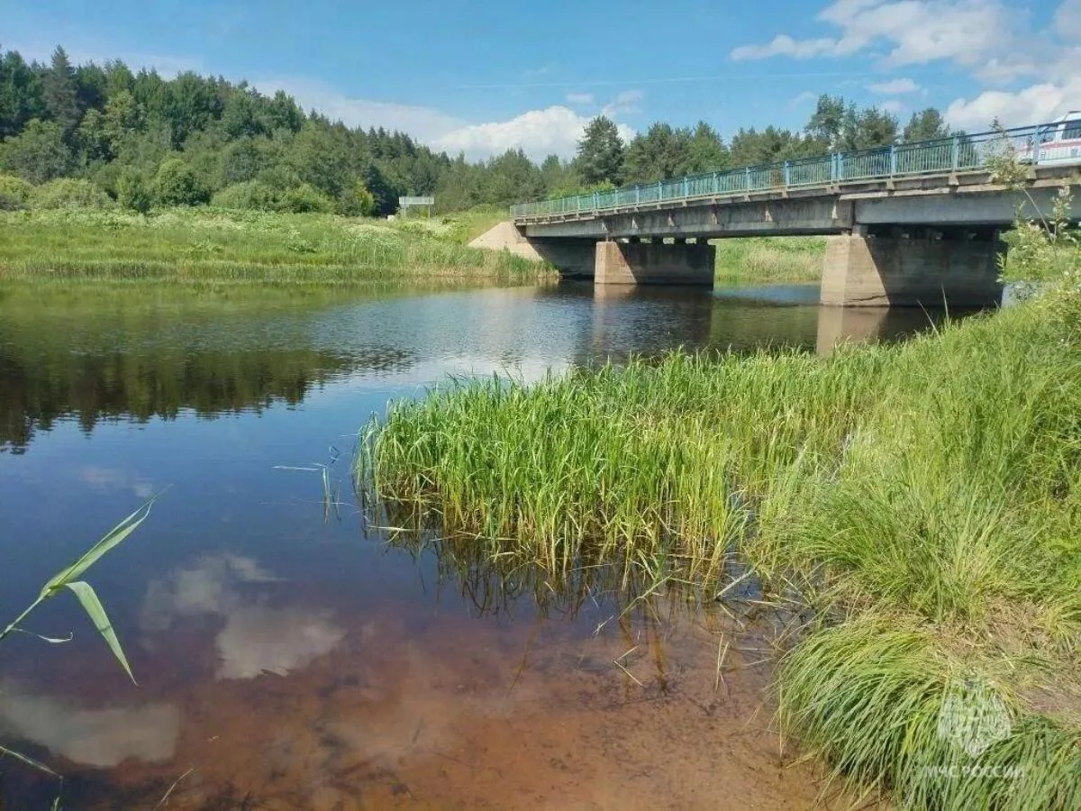 ⚠️ В Вышнем Волочке из воды достали тело человека

11 июня в Вышнем Волочке произошло трагическое пр