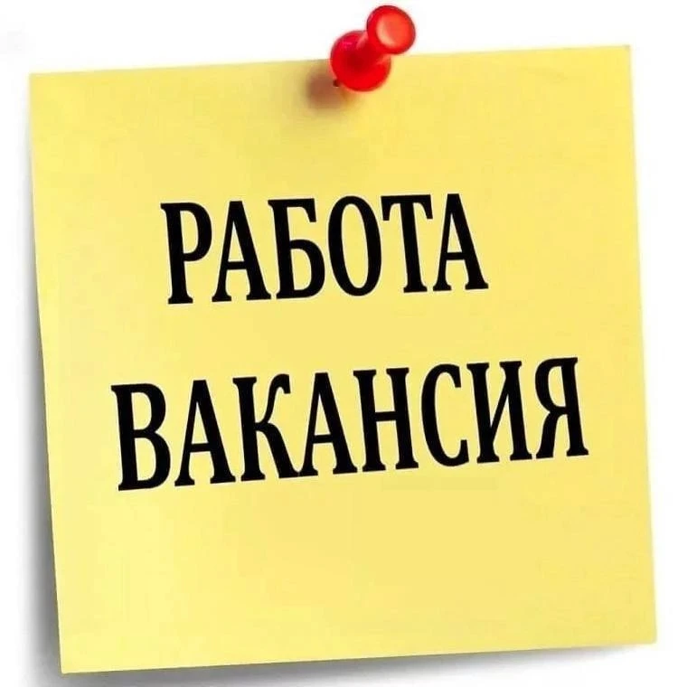 В отдел муниципального земельного, лесного контроля и соблюдения правил благоустройства администраци