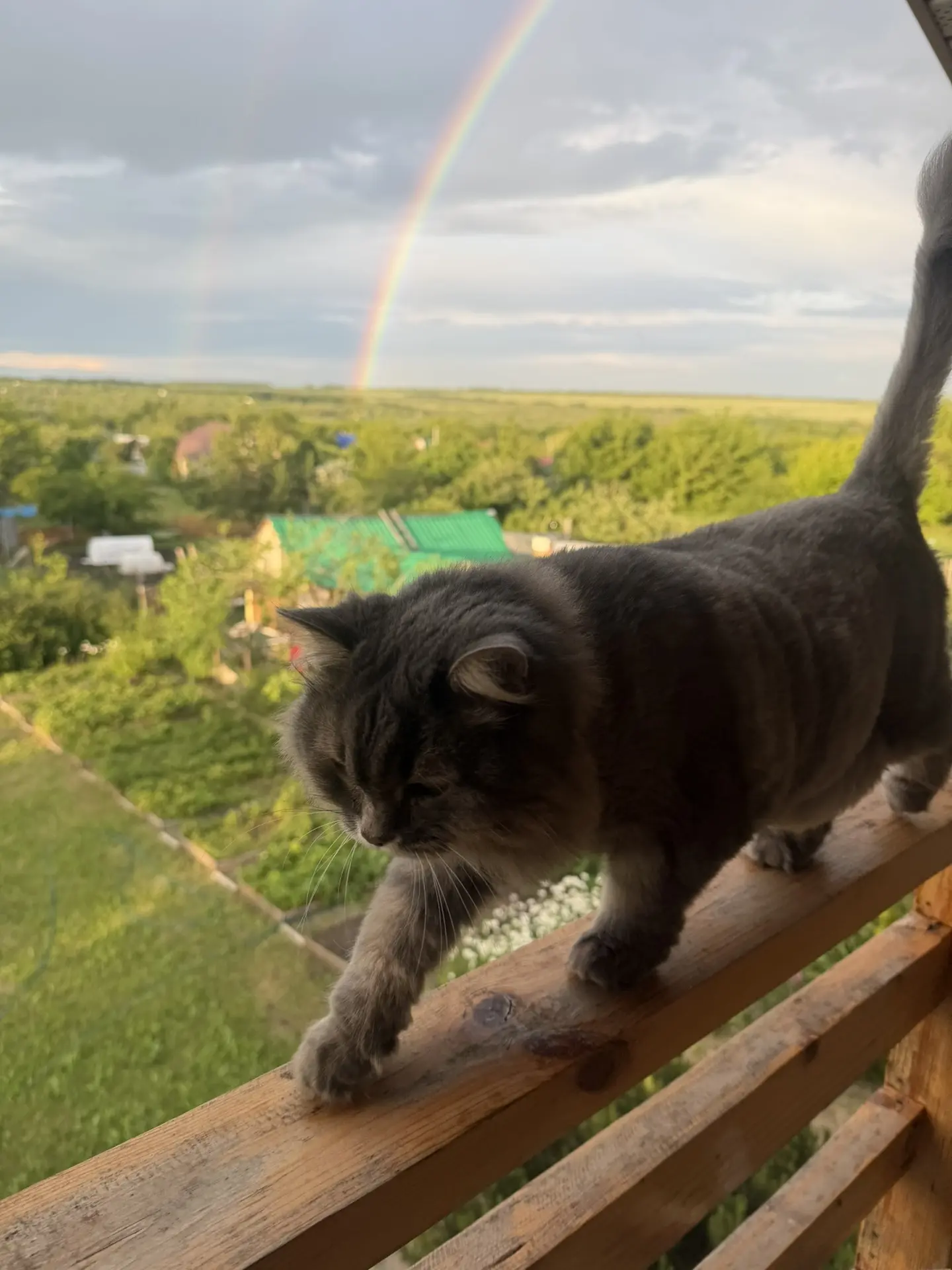 Радуга — это знак? 🌈

Говорят по-разному. Но вот что интересно:

Почти у всех народов мира радуга —