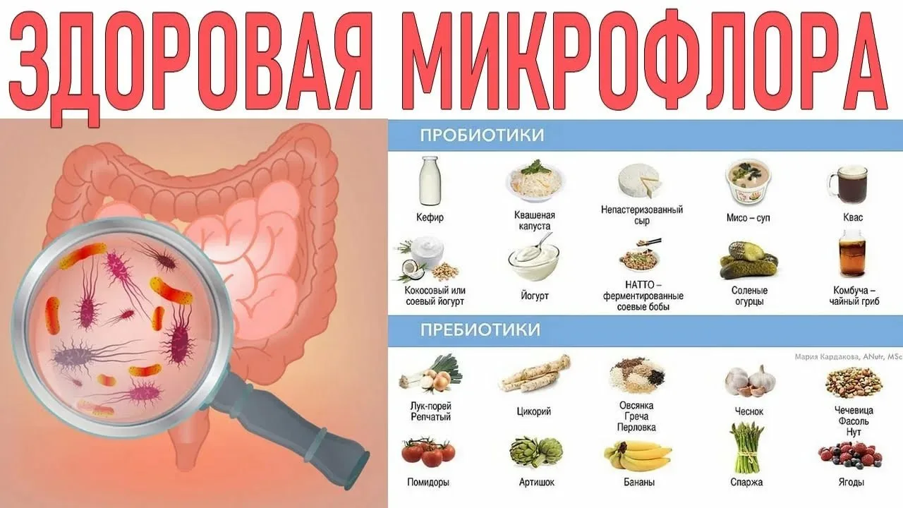 🥬 ПИТАНИЕ, СПОСОБСТВУЮЩЕЕ СОХРАНЕНИЮ МИКРОБИОТЫ

🫛 Вещества, способствующие росту нормальной микро