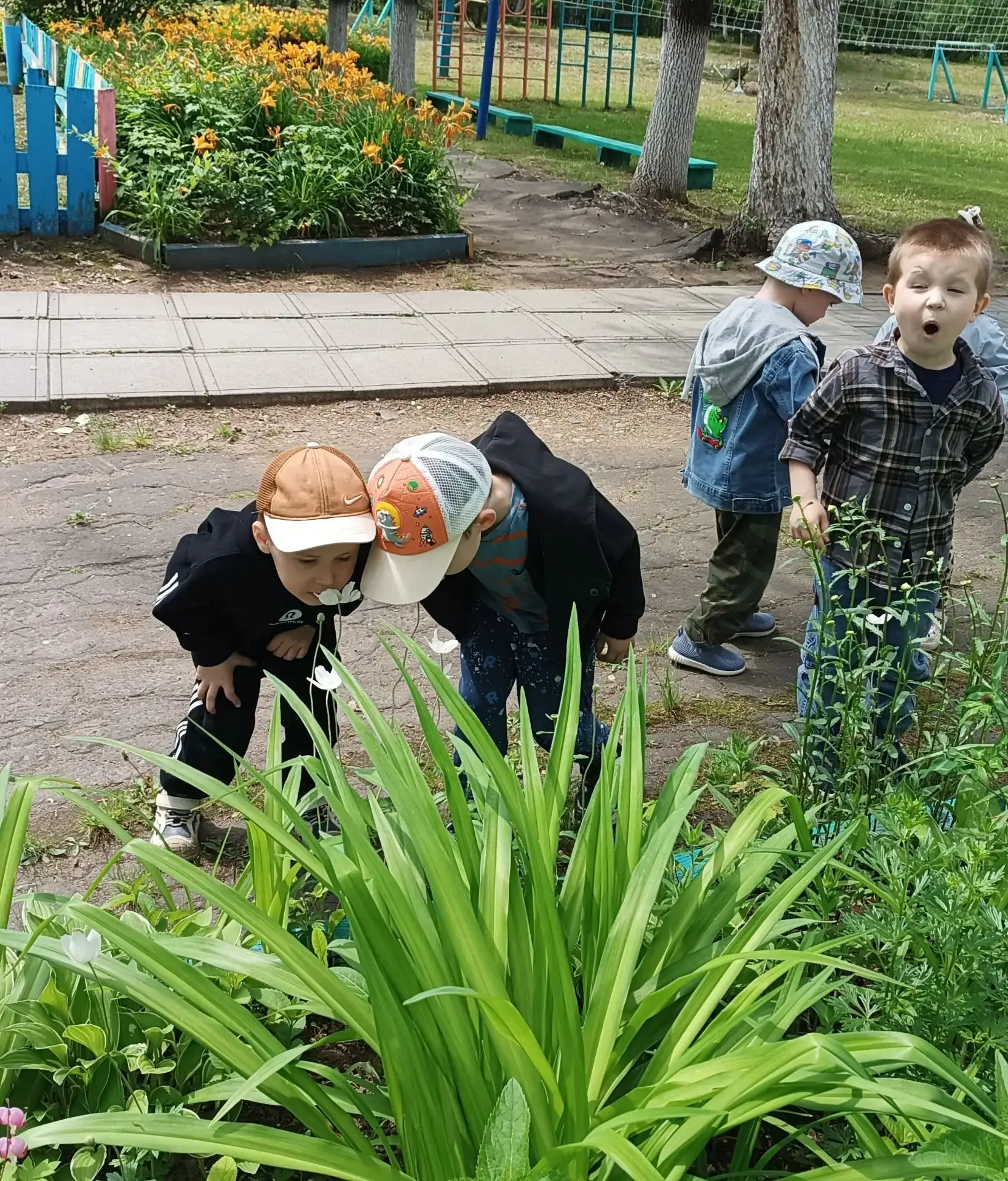 Вторая младшая группа🏠 
Яркие краски лета на прогулке!

Познакомить детей с цветущими растениями на