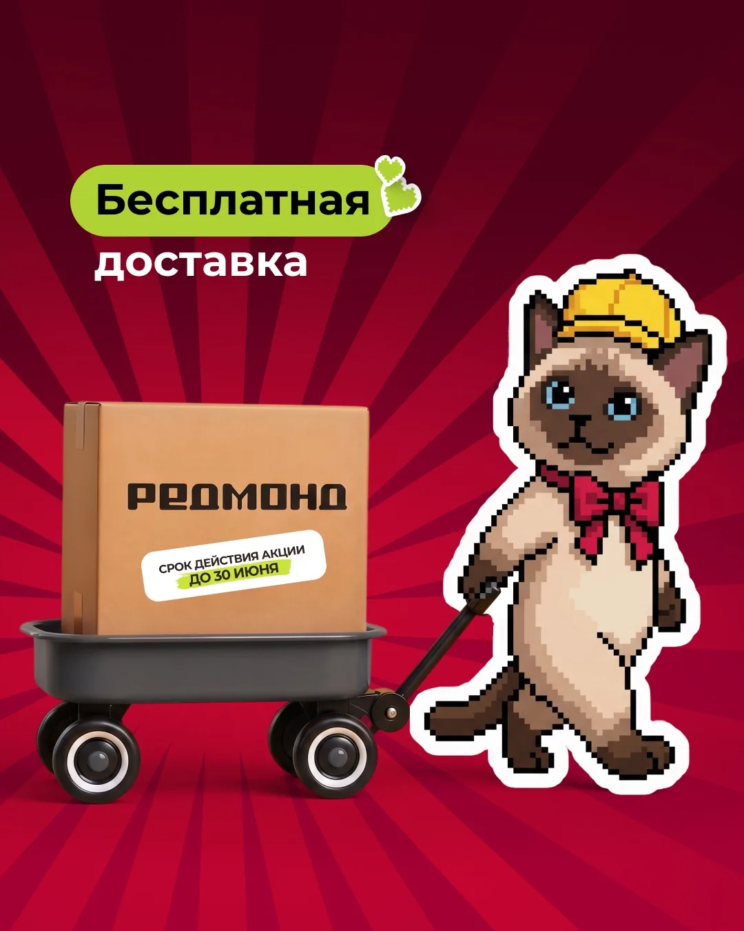 То есть как это бесплатно…

Да, при заказе техники РЕДМОНД от 1000 рублей за доставку платить не нуж