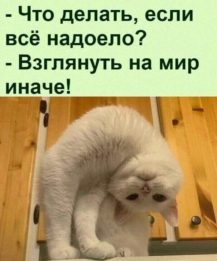 Что делать, когда все задолбало?

Когда кажется, что мир сговорился и решил проверить тебя на прочно