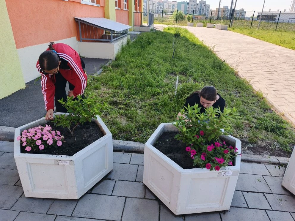 🌱 Продолжается работа в трудовом волонтёрском отряде "Прометей". 
Ребята ухаживают за растениями: п