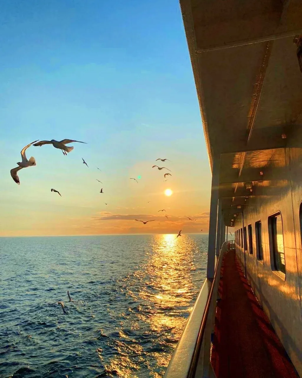 🌟 Морские и речные круизы — откройте для себя новые горизонты!

🛳 Погрузитесь в удивительный мир п