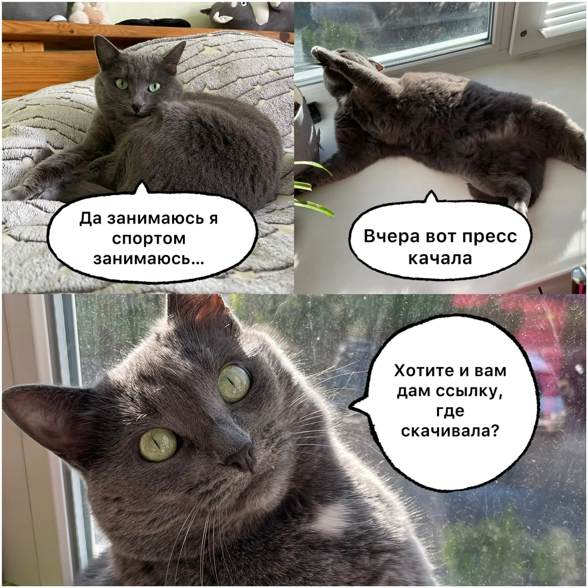 Спорт – наше всё! (Или ваше)