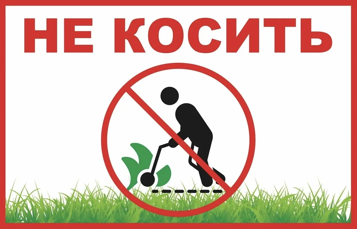Доброе утро.
Уважаемые собственники, начинается сезон косьбы, поэтому огромная просьба защитить свои