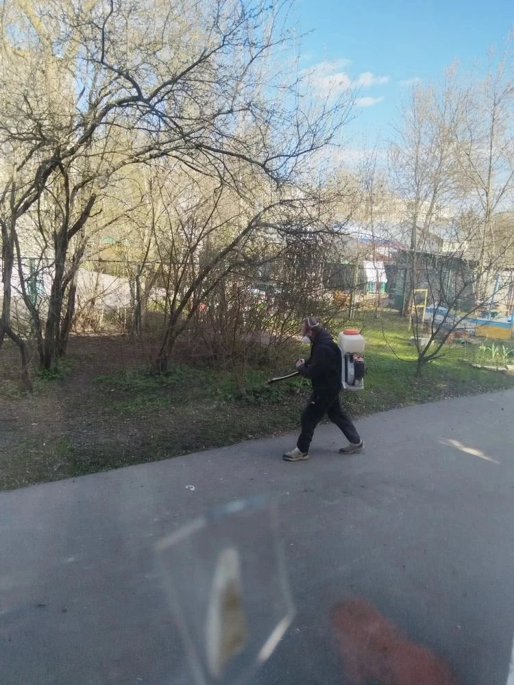 📢 Новости детского сада!

На территории учреждения в выходные дни проведена 
противоклещевая обрабо