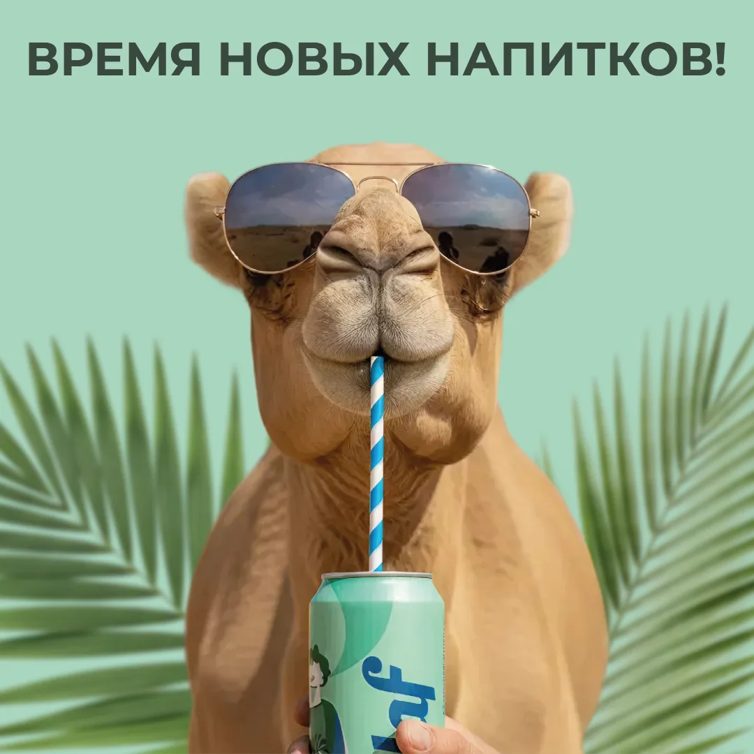 Ищете вкусный и полезный напиток без сахара? 

Встречайте «Milaf» в сети гипермаркетов «Глобус»: нат