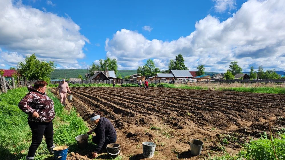 Садим картошку на школьном огороде!🥔🥔🥔🥔🥔

Сегодня работники нашей школы, дружно взяв вёдра, пош