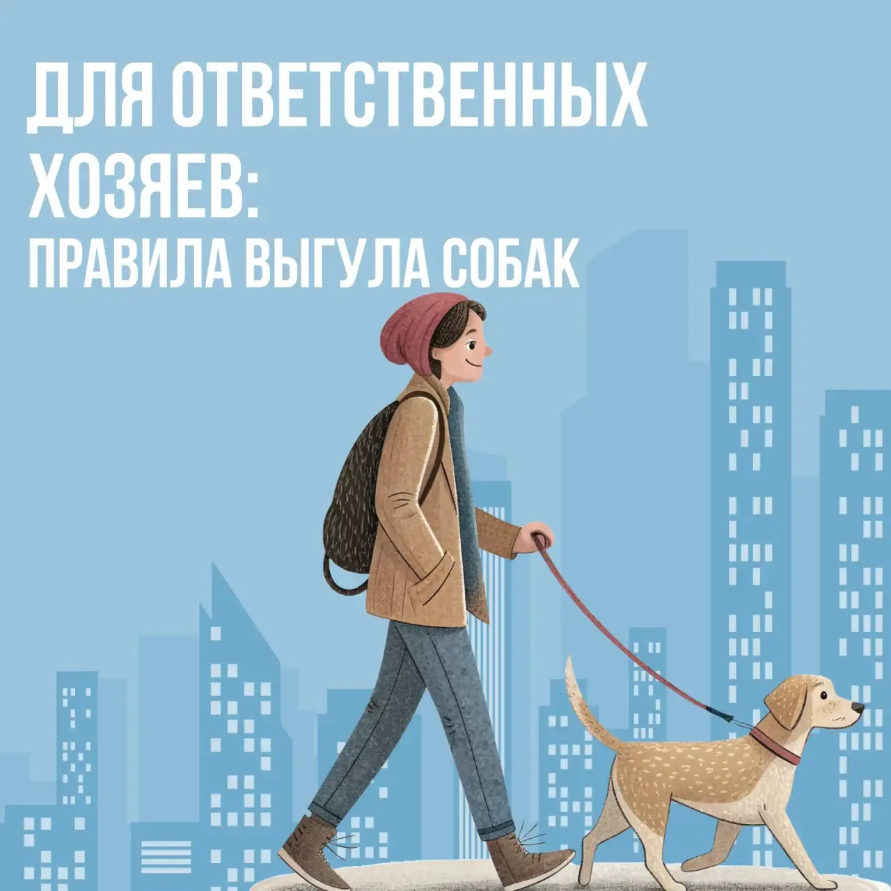 📝 Для ответственных хозяев: правила выгула собак

Уважаемые жильцы, владельцы домашних животных!

В