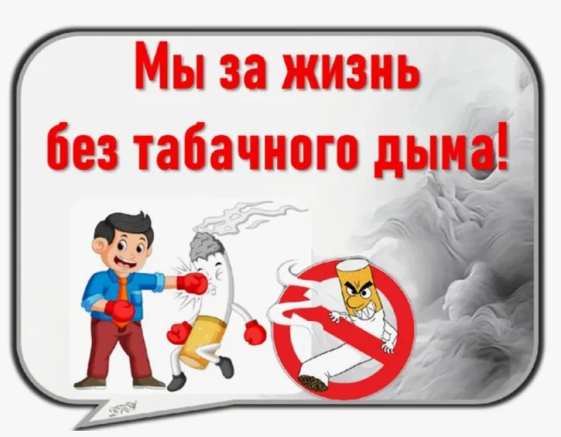 08.06.2026 год     «Всемирный день без табака»

Сегодняшнее солнечное утро в стенах школьного лагеря