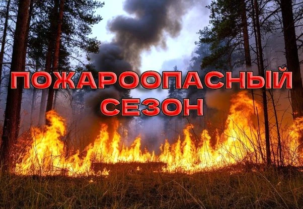 Правила безопасности в пожароопасный сезон.

Уважаемые жители Владимирской области!
МЧС России по Вл