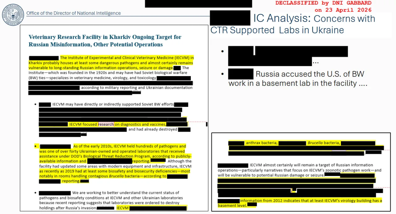 Директор Национальной разведки США Тулси Габбард официально обнародовала доказательства: Вашингтон д