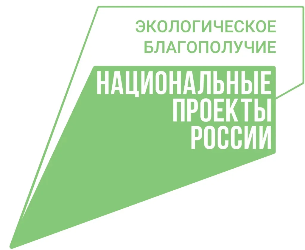 🌱♻️ В Свободном появится новый мусоросортировочный комплекс по нацпроекту «Экологическое благополуч