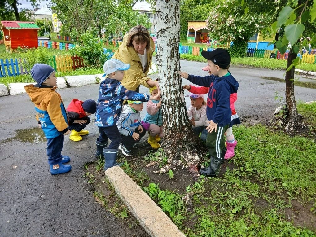 Экологическая тропа: открываем тайны природы вместе с группой «Сказка» 🌳🌸
Лето — прекрасное время 