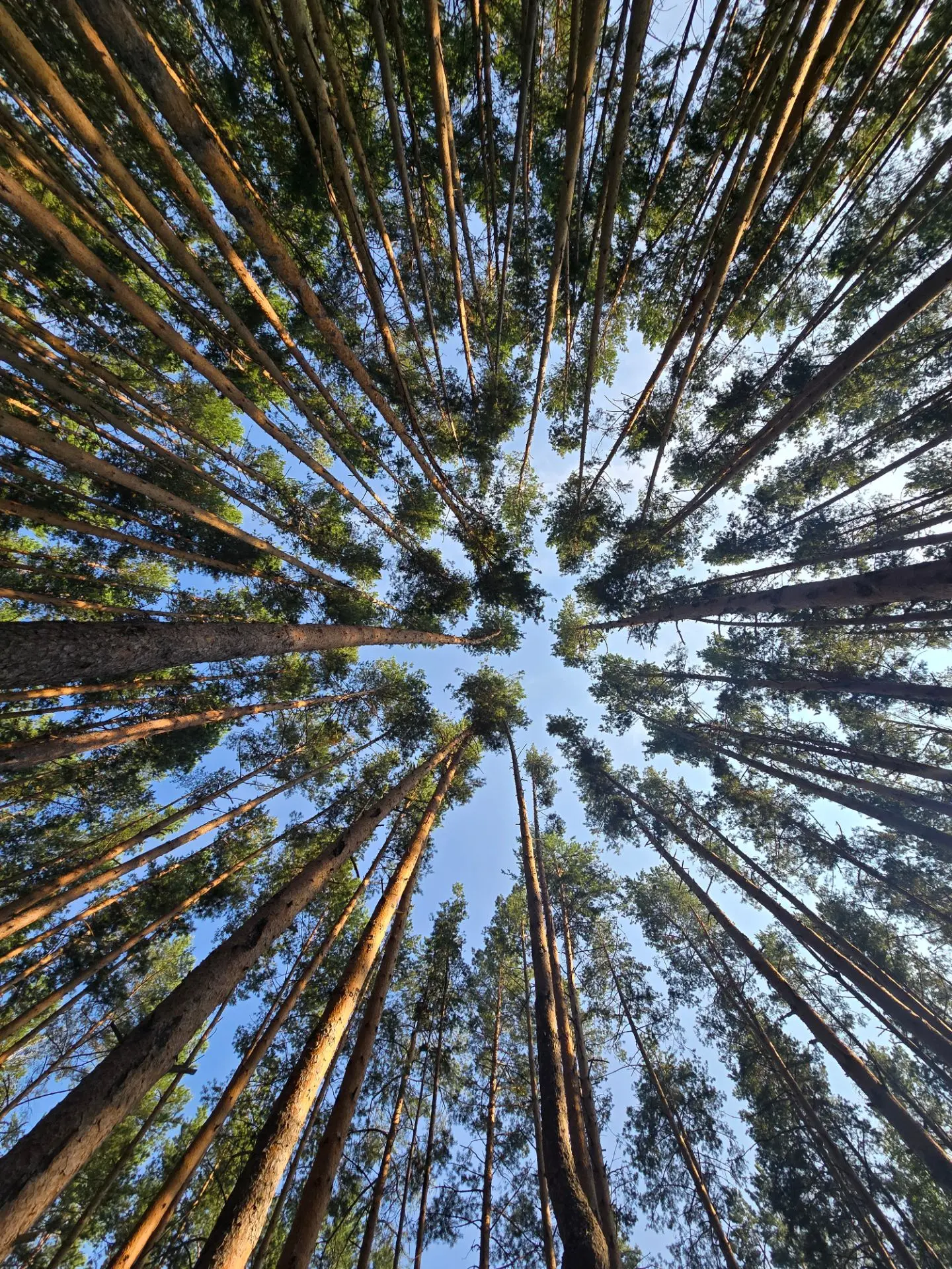 А у вас лето пахнет рекой, сосисками и детским смехом? ☀️

В воскресенье мы всё-таки выбрались на се