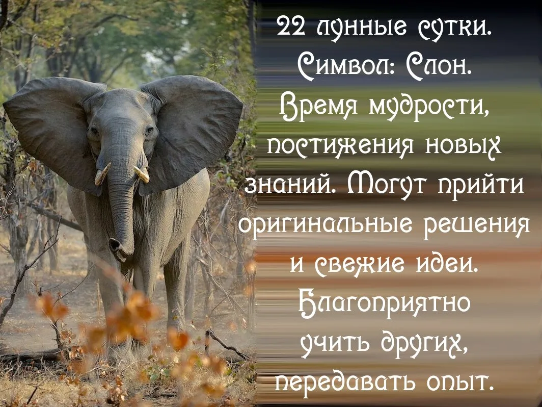 22-й лунный день  с 06.07 23:13 по 07.07 23:20 MSK.
Фаза: ⇣ убывающая Луна, освещенность 60%.
Луна в