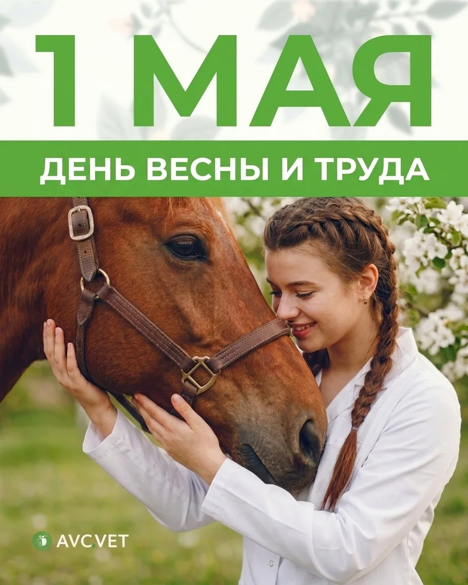 Поздравляем с Праздником Весны и Труда! 🌸 

Пусть майское солнце заряжает оптимизмом, а любимая раб