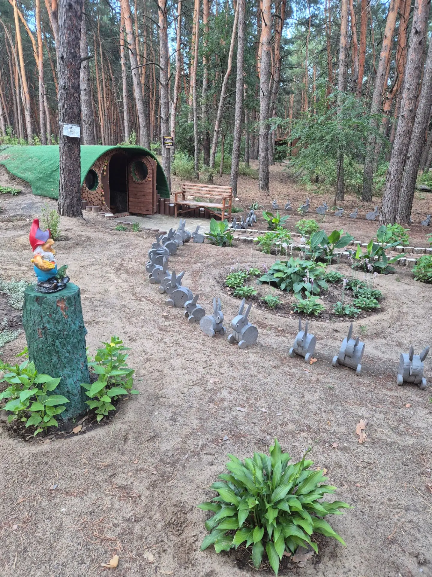 Экопарк в городе Жирновск 🌿💚

Сегодня уже самолёт в Сургут. Время летит очень быстро
