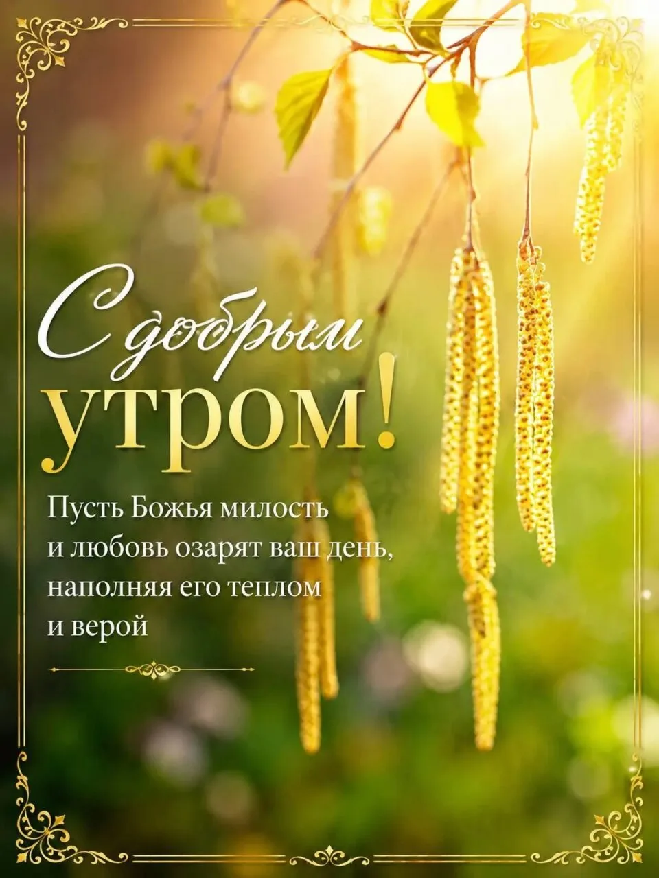 Понравилась открытка? Жми ❤ и делись настроением!

Открытка дня💕Подписаться