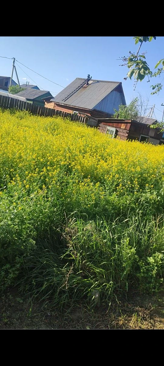 нужен скос и вывоз травы+мусор, по цене пишите в личку
