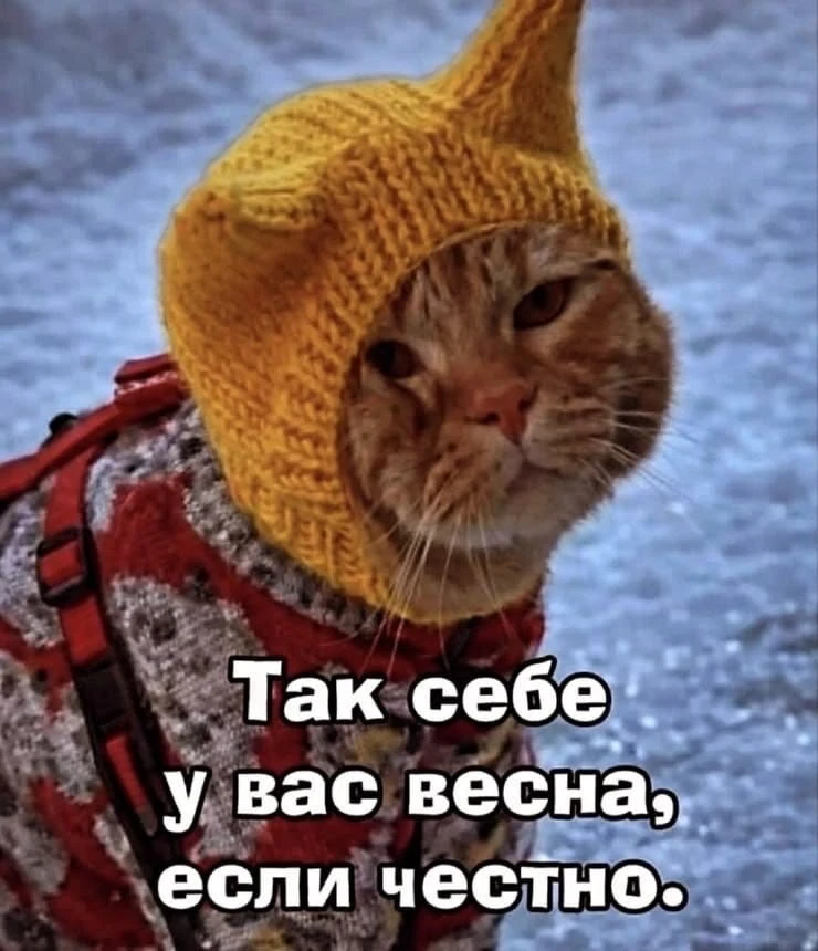 Просто напоминаю, что до майских шашлыков осталось 4 дня 😃