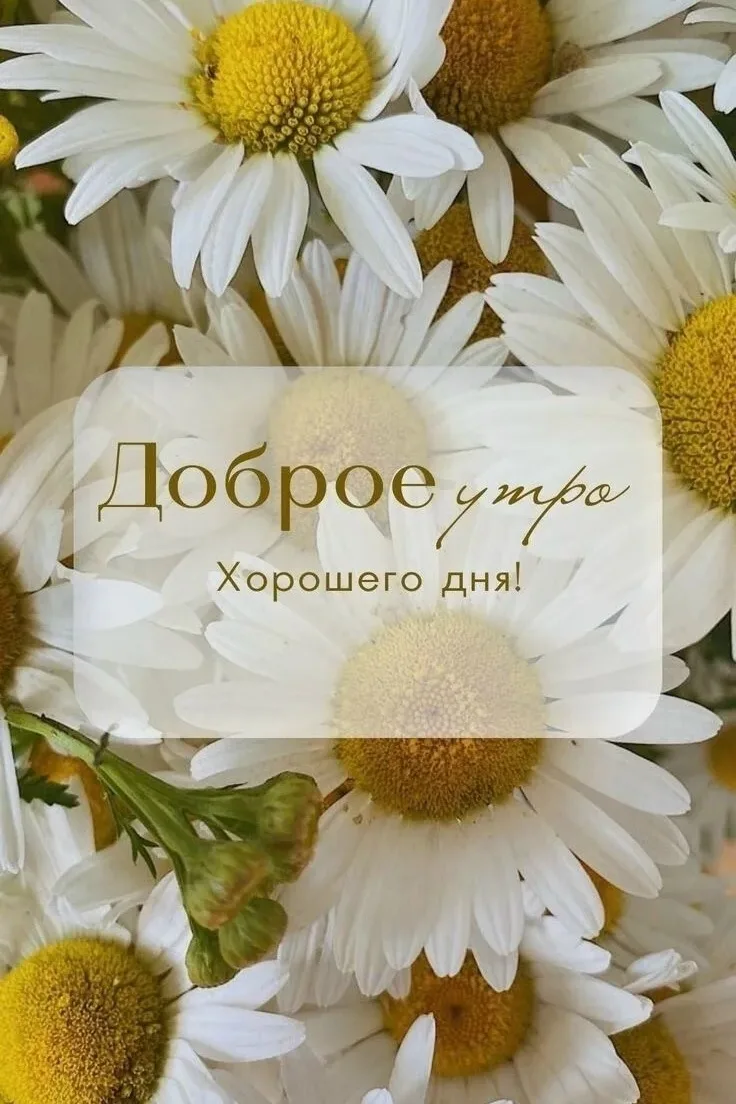Новая Самара | Мехзавод | Самара🏡

☀️ Доброе утро, дорогие жители Кировского района!

Выходные — эт